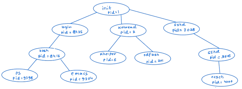 a tree of processes on Linux Sytem